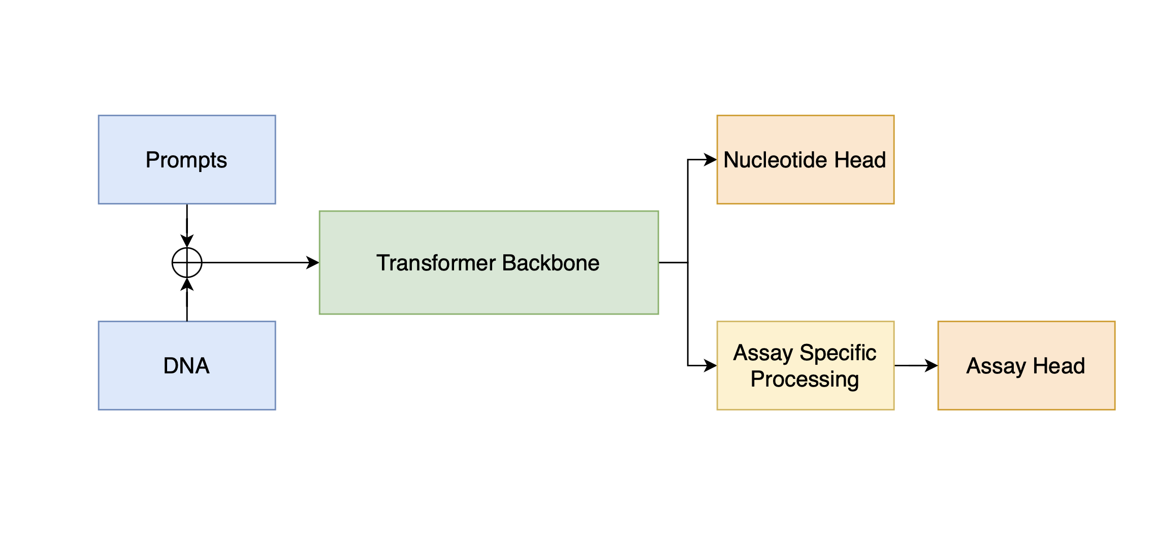 Model Architecture Diagram