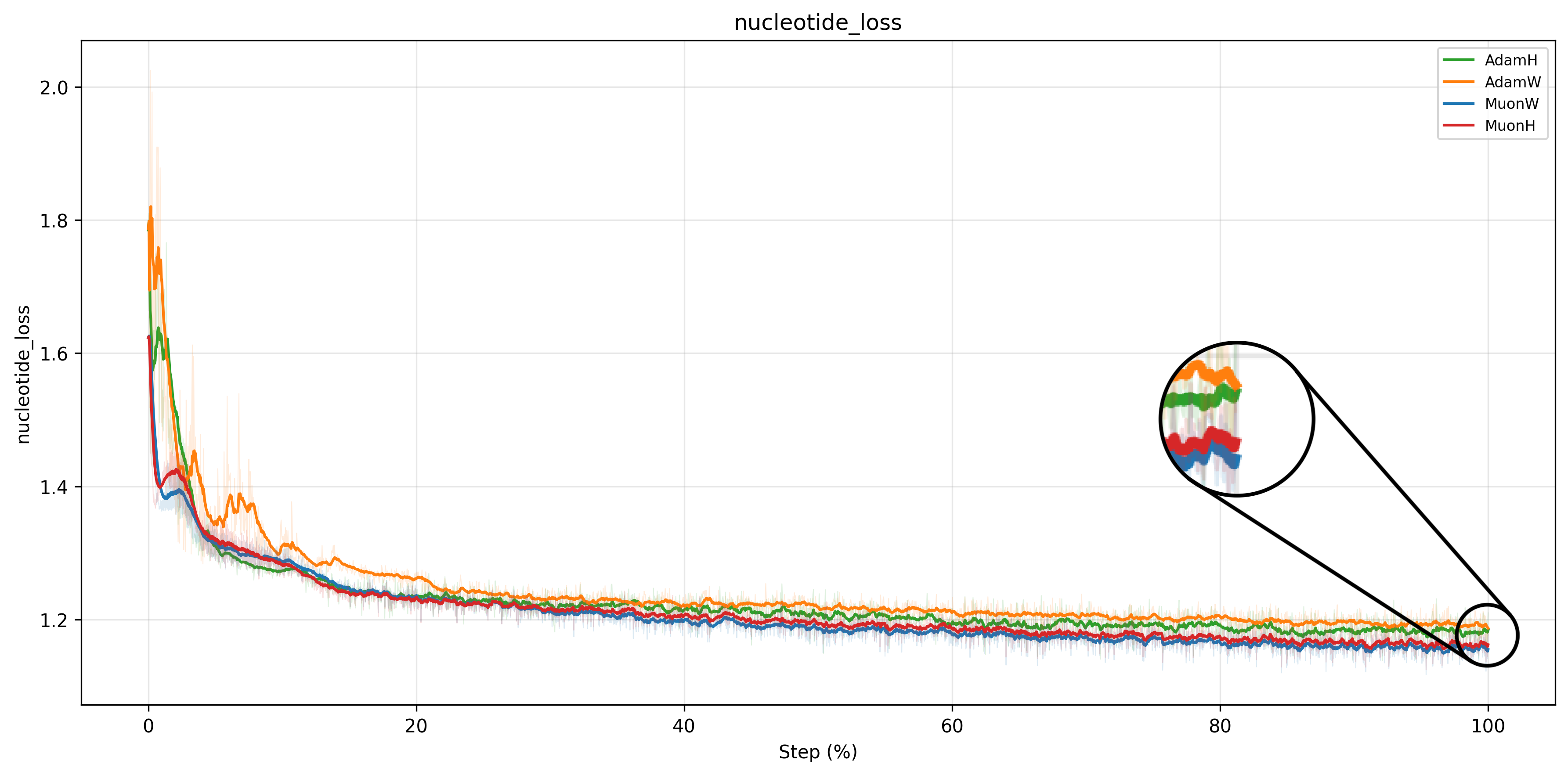 Learning curves for nucleotide loss