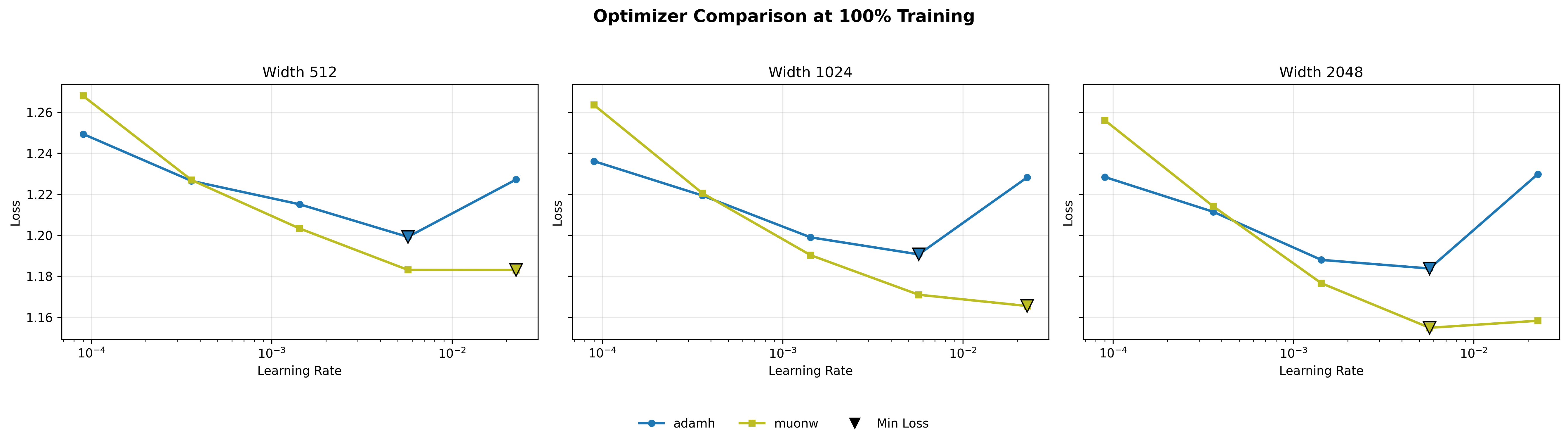 MuonW vs AdamH loss curves across widths