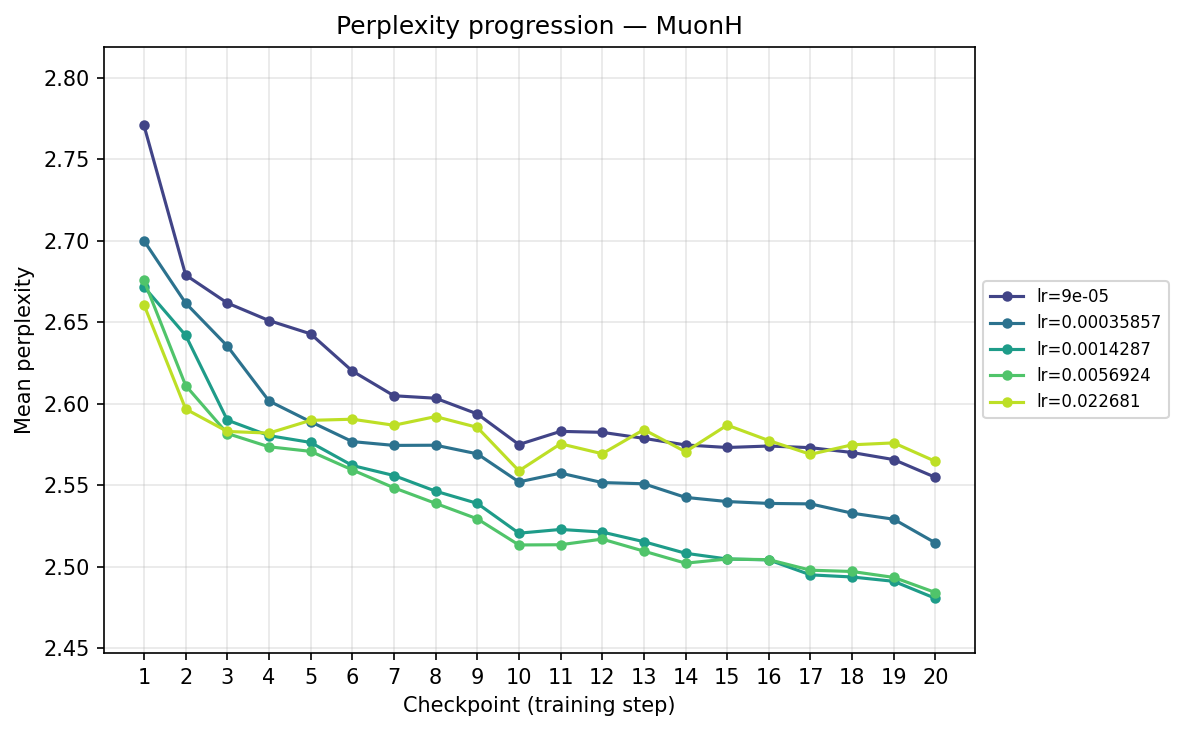 Perplexity progression — MuonH (checkpoint)