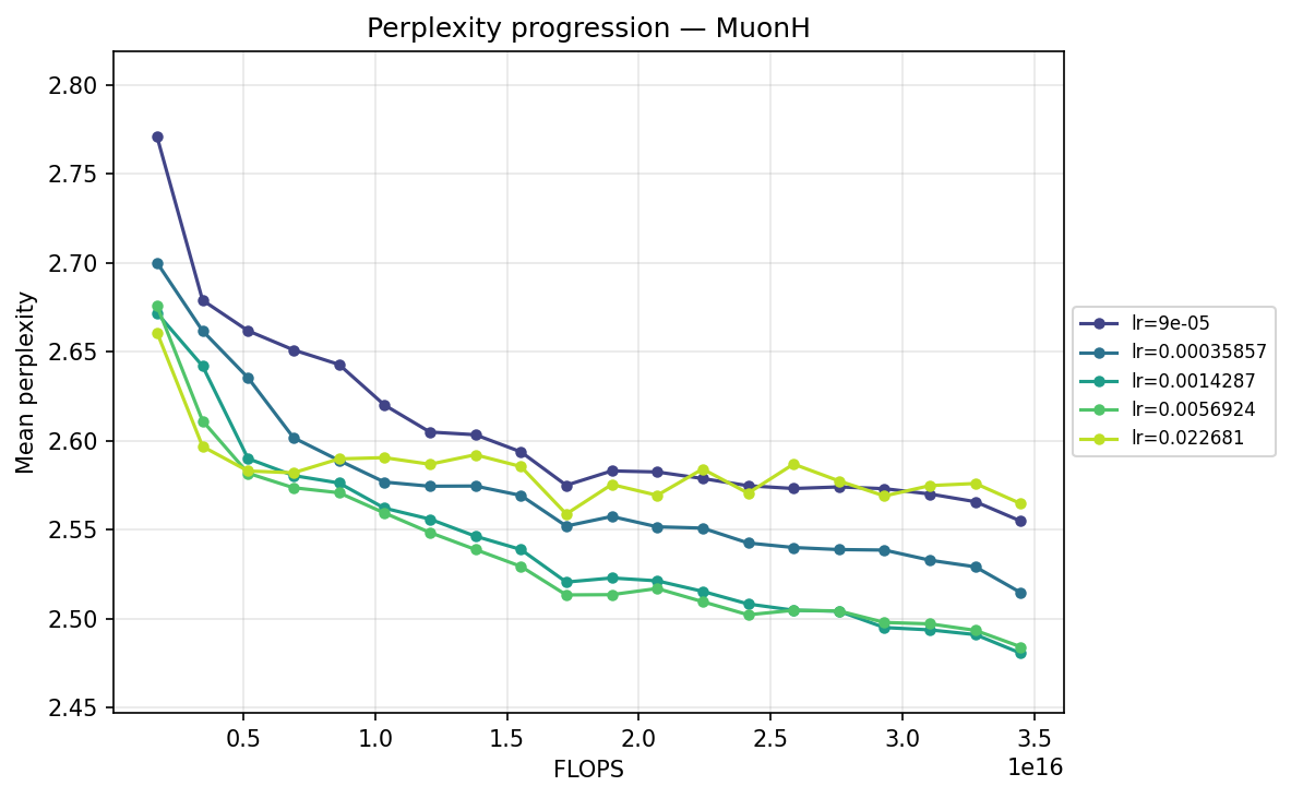 Perplexity progression — MuonH (FLOPS)
