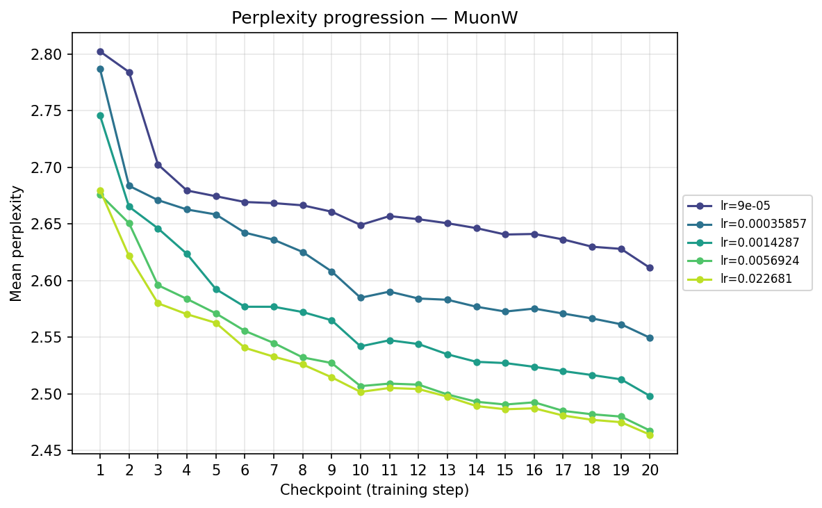Perplexity progression — MuonW (checkpoint)