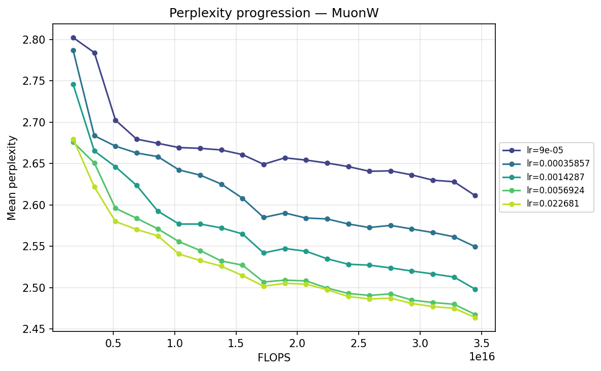 Perplexity progression — MuonW (FLOPS)